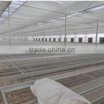 China market Movable Seedbed Bed For Agricultural Greenhouse