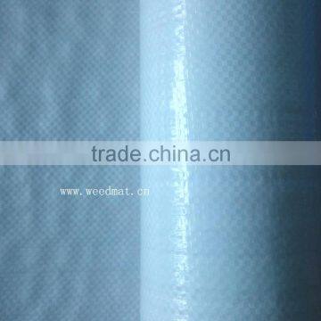 High Quality Raw Material Polyethylene Woven Fabric photo-6