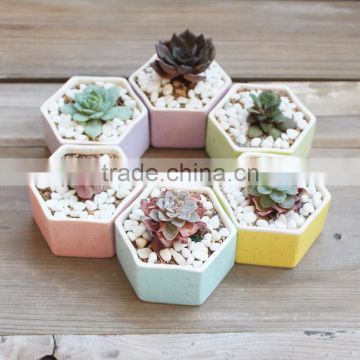 Hot sale rainbow hexagon flower pot ceramic for planter