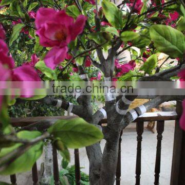 Wholesale Artificial Orchid Near Nature Artificial Orchid Tree for Decor photo-3