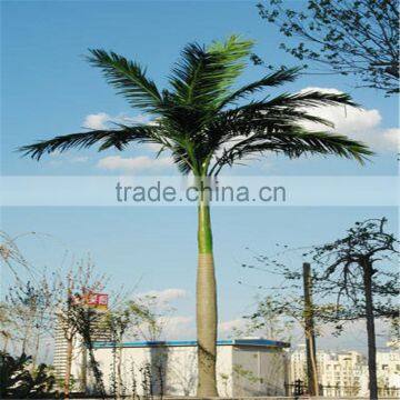 royal palm tree ornamental artificial washingtonia robusta palm trees for sale