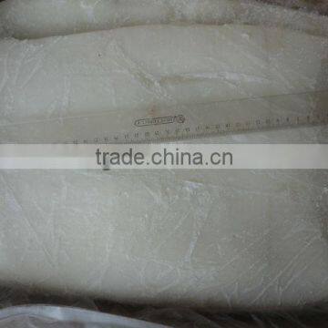 Frozen Giant Squid Fillet (Dosidicus Gigas) photo-2