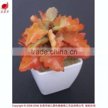 Cheap Wholesale Artificial Succulent Plants Tropical Plants photo-2