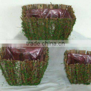 moss basket set