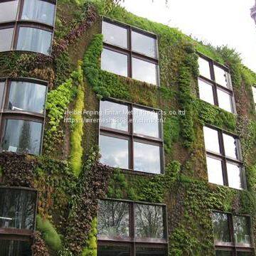 Ecological Mesh & Climber Trellis Mesh photo-4