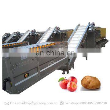 Cherry Tomato Grader Olive Grading Fruit Washing And Sorting Machine photo-6