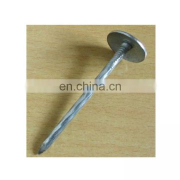 China rubber washer corrugated umbrella galvanized roofing nails price