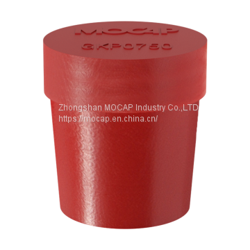 Plastic Plugs for Type L and M Copper Tubing