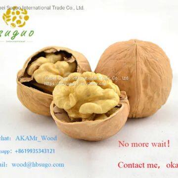 China Cheap Walnut in Shell photo-5
