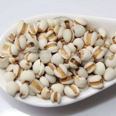 Semen Coicis Extract 10:1 TLC Off-white Powder, Semen Coicis Extract, Coix lacryma seed powder Extract, Yongyuan Bio