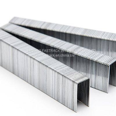 20ga. Air Nb-fastrack Staples for Furniture and Decoration 1022j photo-2