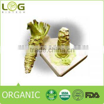 The Best Quality Wasabi Seasoning Powder Wholesale Quality Choice photo-2
