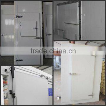 PUR panel hinged freezer door with double-leafed for cold room                        
                                                Quality Choice