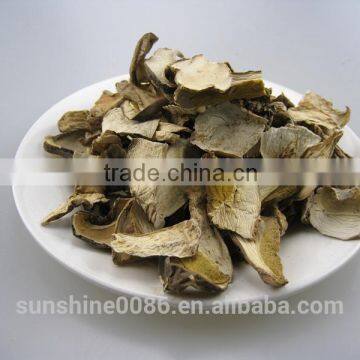 Dry Wild Mushrooms Large Edible BOLETE Mushroom photo-6