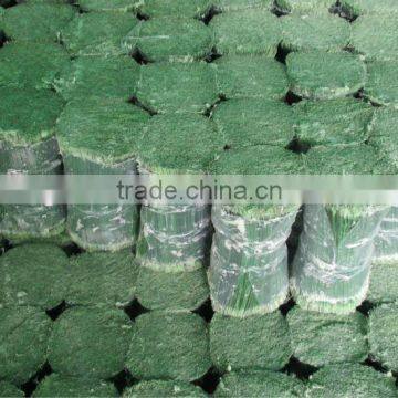 PET Artificial Pine Needle( All Type,Size and Requirement Can Meet )