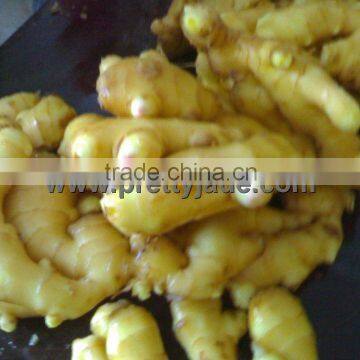 fresh yellow ginger