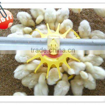 Ready Sale Automatic Chicken Feeder Equipment for Poultry and Broiler House photo-6