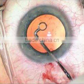 Whitman Shepard capsule polisher double ended