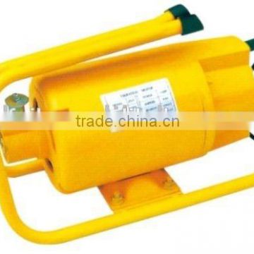 electric vibrator motor