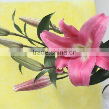 Factory Direct Sell Cheap Lili Flower Head Lili Collect photo-4