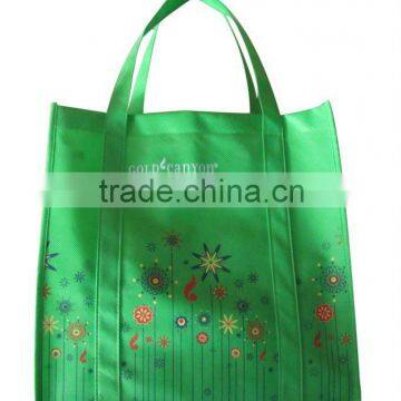 PP Non Woven Shopping Bag