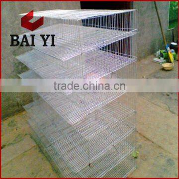 Manufacturing Large Scale Quail Breeding Cage And Drinkers For Quail