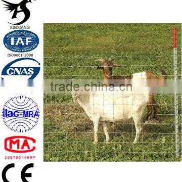 2014 Heavy gauge high quality sheep wire mesh fence