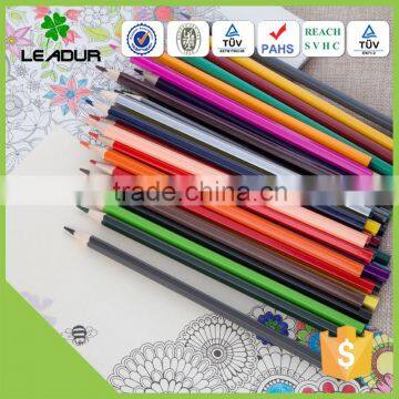 Hot Selling Bulk Woodless Color Pencils for School Quality Choice photo-5