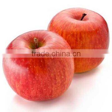 Fresh apple fuji apple with good quality for hot sale