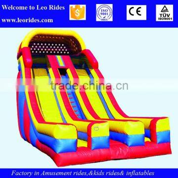 Hippo Inflatable Water Slide With Pool for Adult and Kids