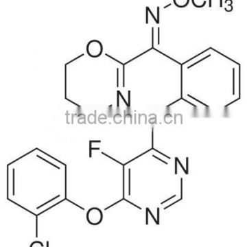 Fungicide Azoxystrobin 95%/96.5%/96%/97.5%/98%TC,50%&80%WDG,CAS NO.131860-33-8