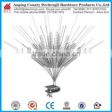 Stainless Steel Bird Thorn/Metal Anti Bird Thorn, Bird Spike for Sale