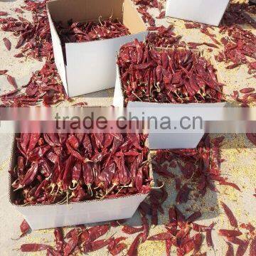 Red Dried Chili photo-2