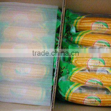 sweet corn in vaccum bag