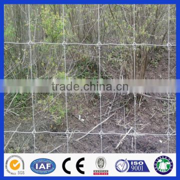 trade on Alibaba fixed knot woven wire deer fence (Deming factory, ISO900 certificate)