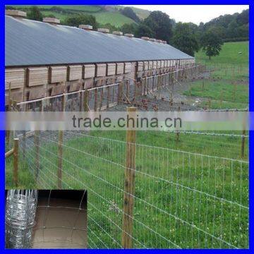 Anping deming (iso9001 factory) sheep and goat fence