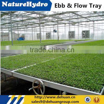 Cheap Hydroponic Plastic Tray for Plants photo-2