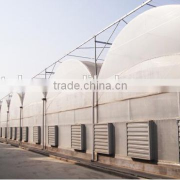 Plastic film agricultural greenhouse with equipment