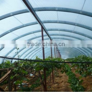 plastic film manufacturers greenhouse plastic film 6 mil tunnel plastic greenhouse film agriculture