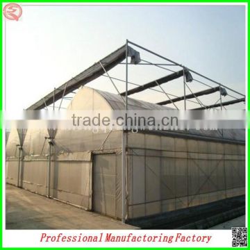 Low cost arched type multi-span vegetable greenhouses with hydroponics system