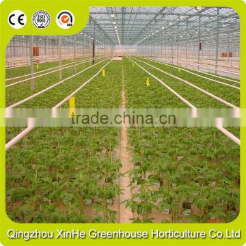 High Quality Agricultural Greenhouse Construction For Vegetables