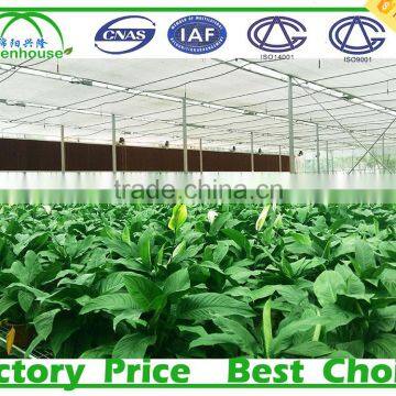 Commercial Polycarbonate Sheet Greenhouses for Sale photo-4