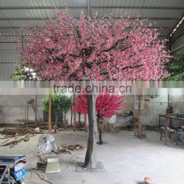 SJ1501032 Indoor Ornamental Flower Tree/artificial Cherry Plants Tree photo-5