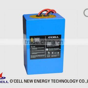 24v 10ah li ion battery pack