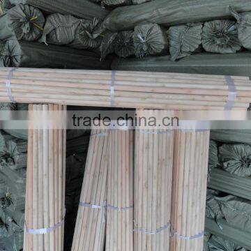 Natural Eucalyptus Wood Broom Stick photo-4
