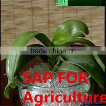 Polimer Sap as Water Absorbent Polymer photo-4