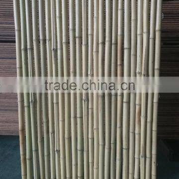 bamboo fence