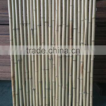 Bamboo Fence