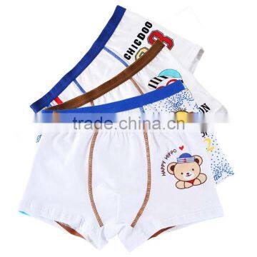 New Style 7 to 14 Years Old Transpant Kids Thong Underwear for Boys photo-5