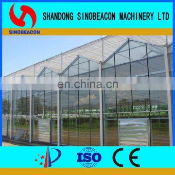 2017 Hot Sale Used Commercial Mushroom Greenhouse